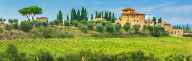 Travel insurance for Italy trips can help protect your vacation to see this view of a Chianti vineyard.