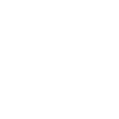 trip delay icon white