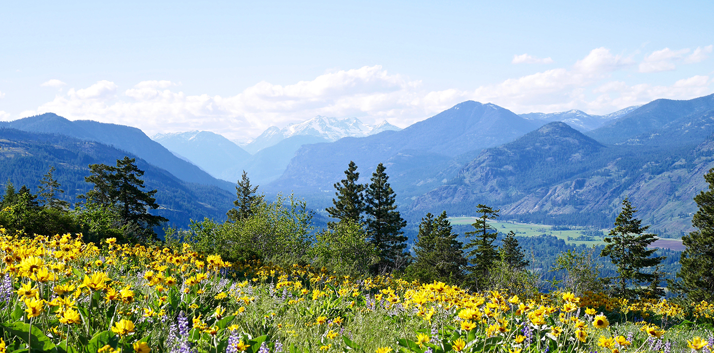 Green grass looking over mountain landscape