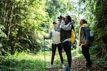 Three friends exploring a jungle