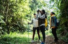 Three friends exploring a jungle