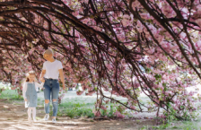 Mother and daughter holding hands under a cherry tree at a cherry blossom festival.